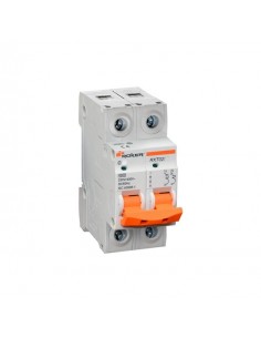Roker Rxt0206  Termica Din Bip   6a. 2