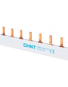 Chint Cbb-210110 Regla De...