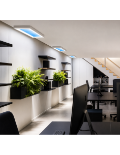 Leuk 7215 Ren Slim Panel... 2